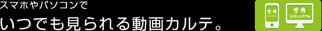 スマホやパソコンでいつでも見られる動画カルテ。